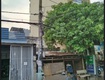 Bán nhà đường ttn05 quận 12, 125m   5x25m , giá tốt   nhà cấp 4,...