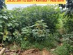 Chính chủ bán lô đất đẹp 2920,3m tại từ sơn kim bôi hòa bình