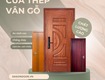Cửa thép vân gỗ 