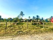 Cơ hội vàng  đất đẹp full thổ, đón đầu làn sóng đầu tư khu kinh tế vân...