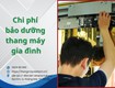 Chi phí bảo dưỡng thang máy gia đình   báo giá mới nhất từ...
