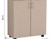Tủ tài liệu cao cấp NT880D 