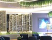 Chỉ với 440 triệu trong tay căn ttavio dĩ an bình dương căn 2pn chuẩn nhật.