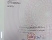 Đất vườn đẹp giá tốt tại xã nguyễn phích, huyện u minh, cà mau