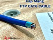 Cáp mạng FTP Cat6 