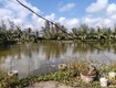 Bán lô đất trang trại 5000m2 tại huyện kiến thụy, hải phòng, phù hợp phát triển mô hình...