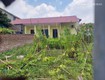 Bán đất bắc hồng 80m2, mt7.7m, 4.43 tỷ, vf3, đông anh , gần phố.