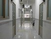 Chdv 22 phòng có thang máy, dòng tiền ổn định 80 triệu/tháng, huỳnh tấn phát, quận 7 