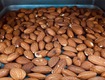 Nâng tầm giá trị hạt hạnh nhân: bắt đầu từ bước sấy chuyên nghiệp 