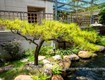 Tạo không gian sống xanh với vật liệu tự nhiên cho tiểu cảnh nhà ống 