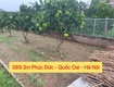 Hàng fo 389,3m tại phúc đức   quốc oai hà nội 