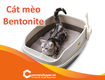 Hướng dẫn các thủ tục nhập khẩu Cát Mèo Bentonite 
