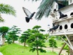 Chính chủ cần bán lô sh 01.32 danko avenue, phường sông công, thái nguyên
