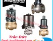 Van điện từ magnatrol   magnatrol solenoid valve 