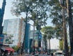 Nội thất gỗ cao cấp nhà đẹp nguyễn tri phương q10 3 tầng ...
