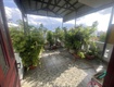 Bán nhà mặt tiền phú thọ hòa    gần phan văn xảo, 3,9x21m, 5 tầng ...