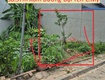 Chính chủ bán lô đất sát ngay khu đấu giá 58,57m tại đại yên chương mỹ hà nội...