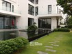 Ý tưởng mẫu sân vườn nhỏ đẹp với tiểu cảnh và lối đi tự nhiên 