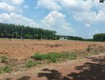 Đất đẹp giá tốt bán gấp lô đất tiềm năng tại xã tân lợi...