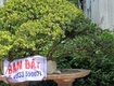 Chính chủ Bán đất mặt tiền khu Thanh Niên, Diện tích 118 m2 Giá chỉ hơn 2 tỷ....