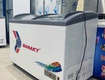 Thanh lý tủ đông nằm Sanaky 400 lít tình trạng 90 