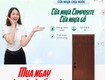 Cửa nhựa composite 