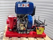 Bơm Chữa Cháy Thái Lan STE chạy Xăng Dầu chính hãng giá rẻ 