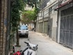 Tân mai vàng rơi từ trời mua nhà là có lộc ô tô...