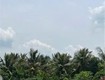 Đất chính chủ   mặt tiền đường số 2, xã hoà khánh đông, đức hòa, long an...