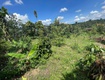 Bán đất đẹp view sân vườn sẵn cây ăn trái 310m2 tại Quốc Lộ 55, phường 3, Lâm...