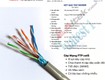 Cáp mạng ftp cat5 4pair 24awg 