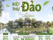 Chỉ cần 5,5 tỷ sở hữu ngay căn biệt thự đảo eco retreat  270m2...
