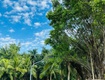 Ecopark về nhà về giữa thiên nhiên. gđ tôi cần bán 145m đất đan nhiễm, chỉ 1km đạp...