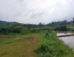 Chính chủ cần bán 2,5 ha đất bám suối view siêu đep tại lương sơn ...
