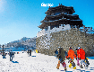 Những ai nên du lịch hàn quốc theo tour 