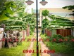 đèn mai chiếu thủy phan nguyễn nét đẹp hiện đại chiếu sáng không gian ngoài...