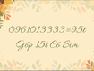 0961013333 95tr 