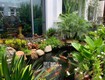 Thiết kế sân vườn sau nhà   Không gian xanh hài hòa với kiến trúc và thiên...