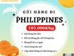 Gửi hàng đi philippines   tiến việt express 