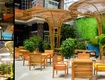 Hostel đẹp và tiện nghi tại Phú Quốc không chỉ rẻ mà còn thoải mái 