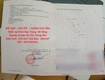 Đất đẹp   giá tốt    chính chủ cần bán  tại thôn đan tràng,...