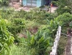 Chính chủ bán lô đất siêu đẹp tại xã sơn hải   lục ngạn   bắc...