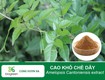 Cao khô chè dây   giải pháp vàng cho sức khỏe dạ dày và...