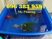 Thùng chữ nhật 200 lít hàng mới 100, bền đẹp, an toàn thực phẩm tuyệt...