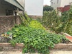 Bán 50m2 đất đông mỹ thanh trì sổ vuông giá chỉ 5.6 tỷ...
