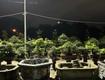 đất mặt tiền mai đăng chơn 128m  đối diện dự án sun, giá chỉ...