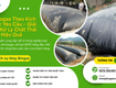 Túi Biogas Theo Kích Thước Yêu Cầu Giải Pháp Xử Lý Chất Thải Hiệu Quả