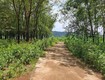 Bán mãnh đất gần 44000m2 có cao su non trên đất, hơn 100m mặt tiền,...