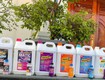 Nước giặt maxgo có công thức hương nước hoa thơm mát 