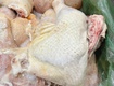 Chuyên cung cấp gà góc tư đông lạnh   giao hàng nhanh toàn quốc...